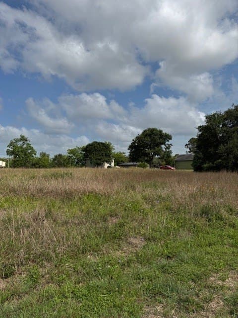 0.12 acres in Tres Palacios Oaks County - photo 4