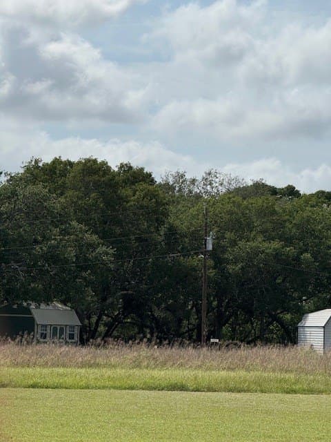 0.12 acres in Tres Palacios Oaks County - photo 8