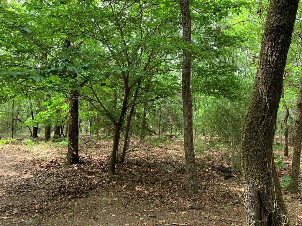 6.66 acres in HENDERSON County - photo 9
