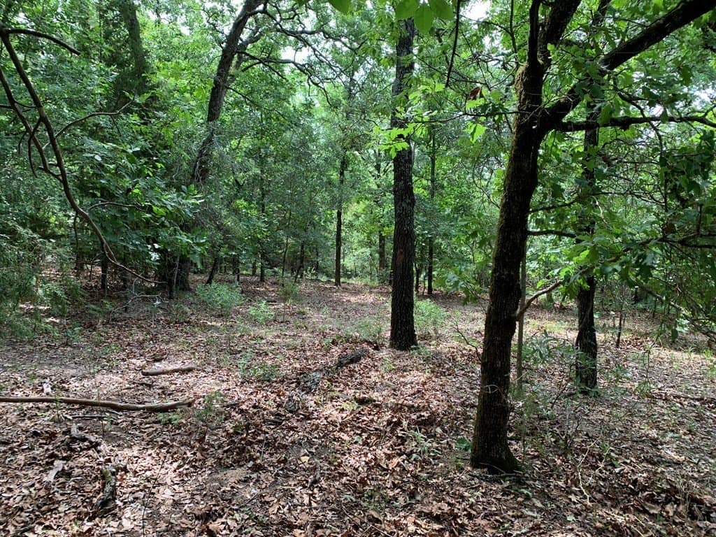 6.66 acres in HENDERSON County - photo 14