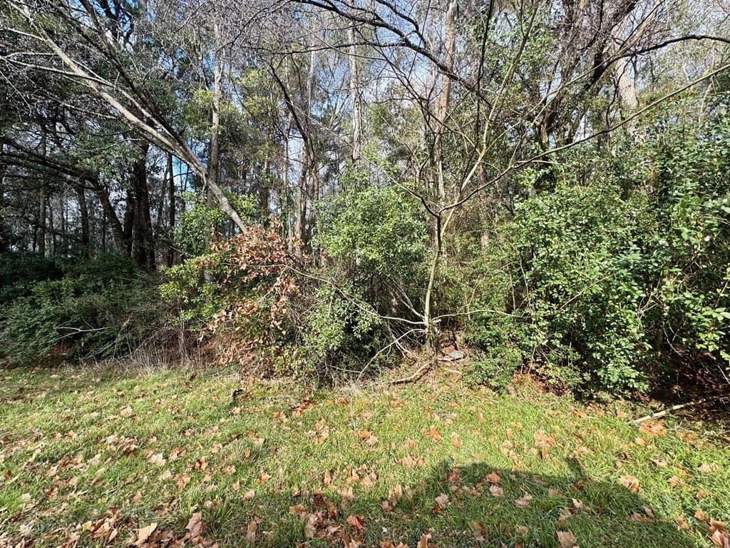 0.3 acres in Texas County featured view