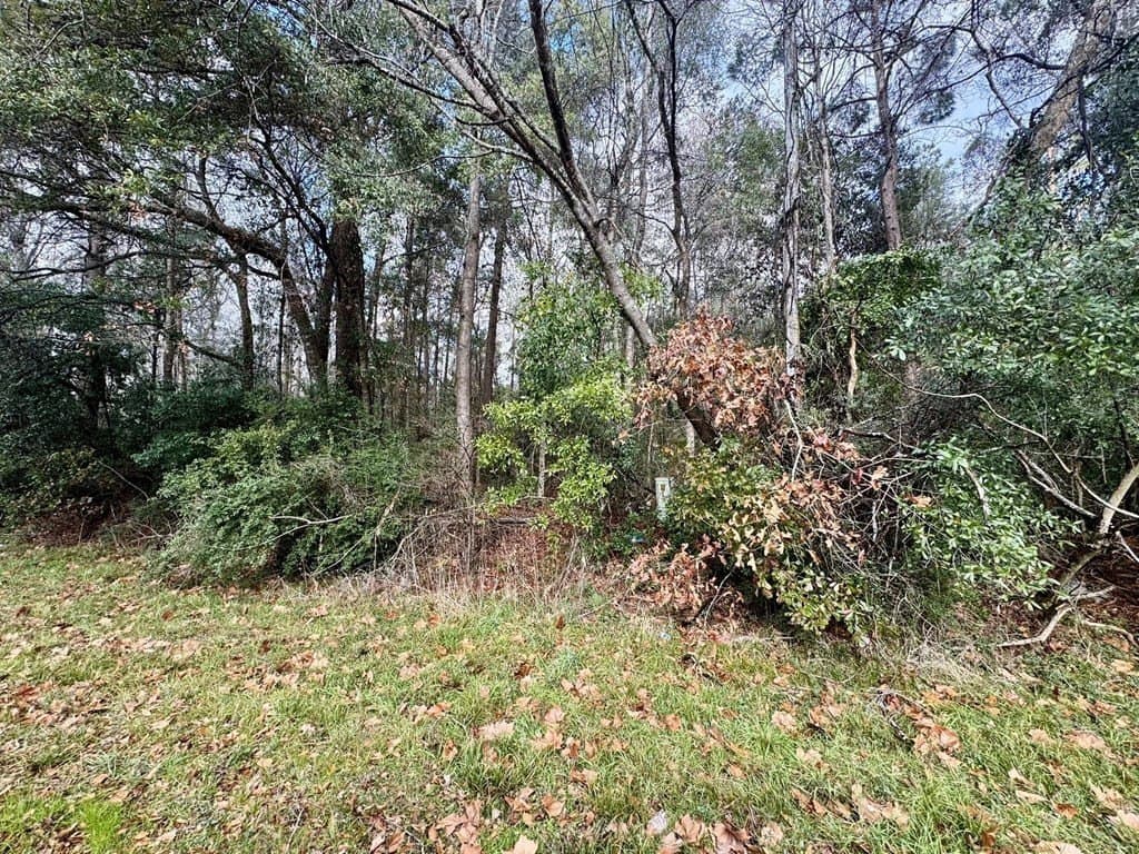 0.3 acres in Texas County gallery image 4