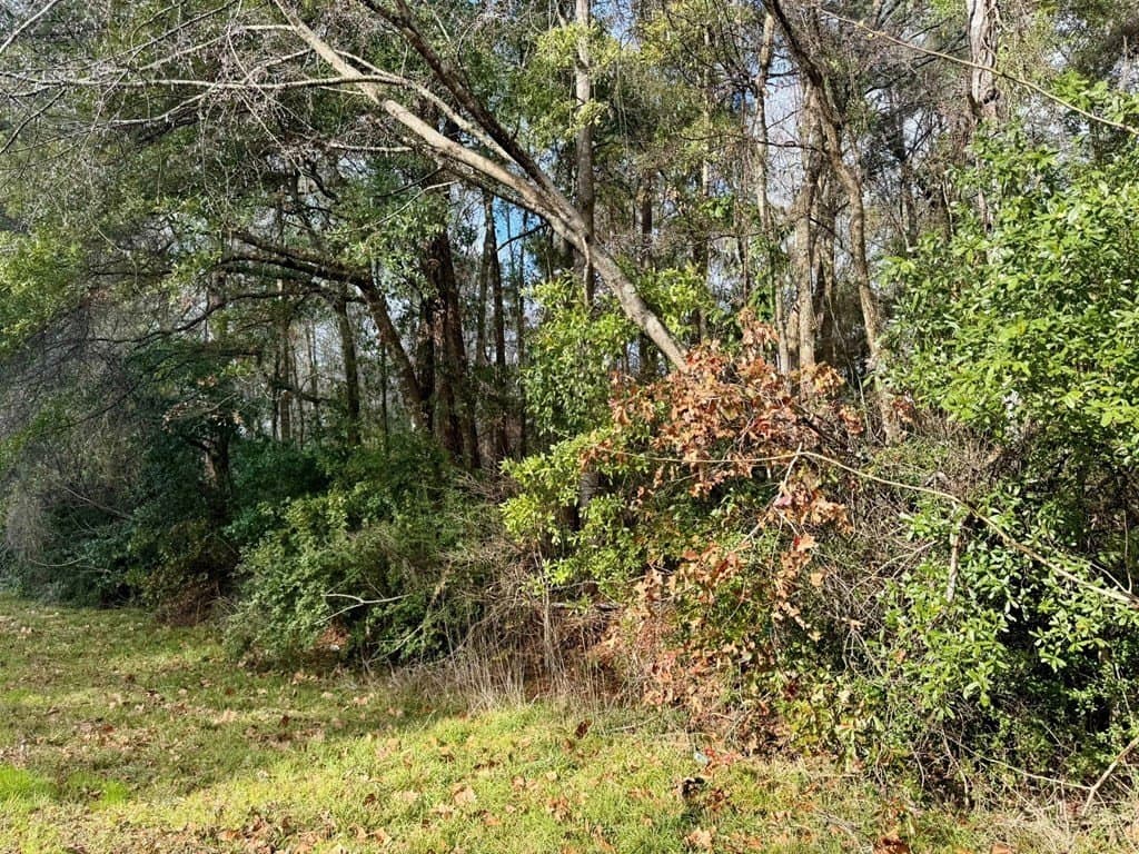 0.3 acres in Texas County - photo 6