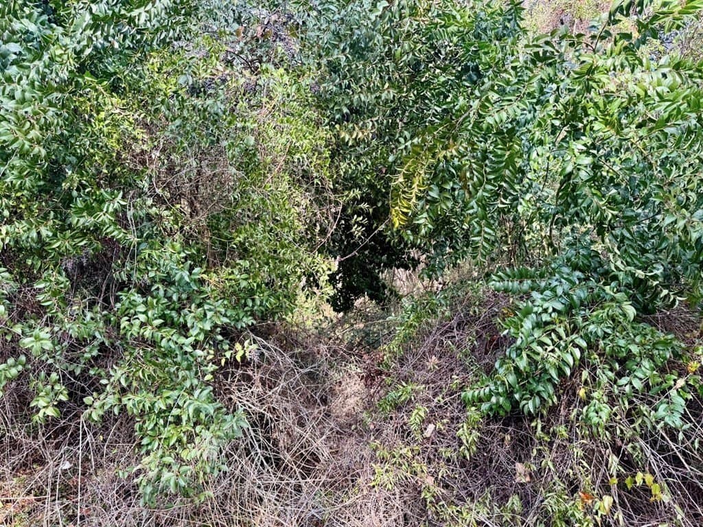 0.3 acres in Texas County - photo 7