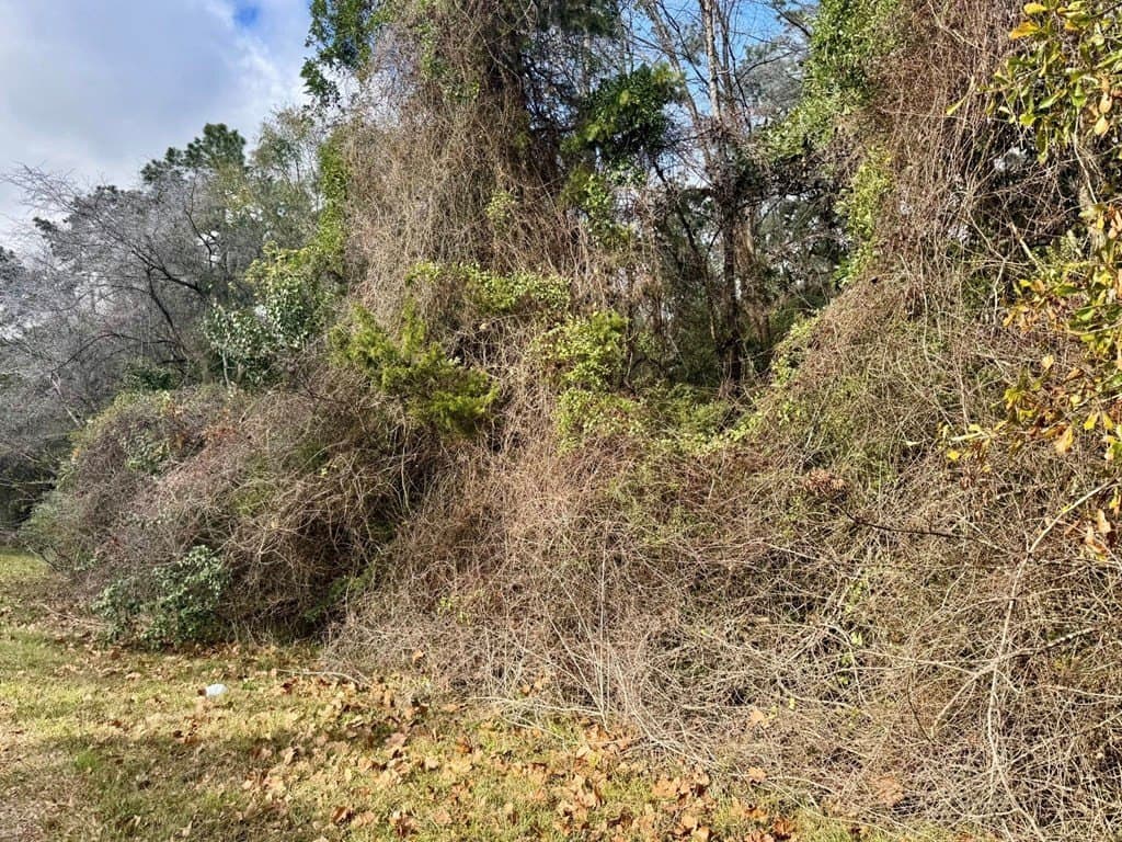 0.3 acres in Texas County - photo 8