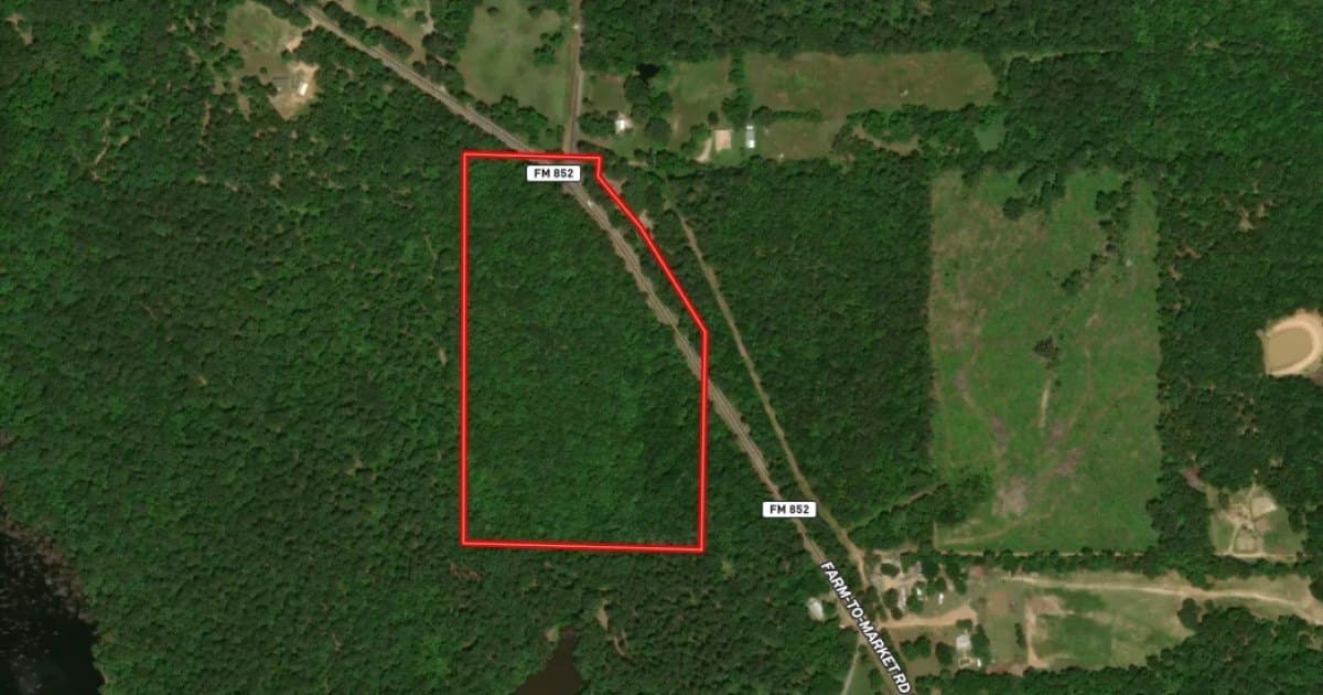 19.56 acres in Wood County - photo 4