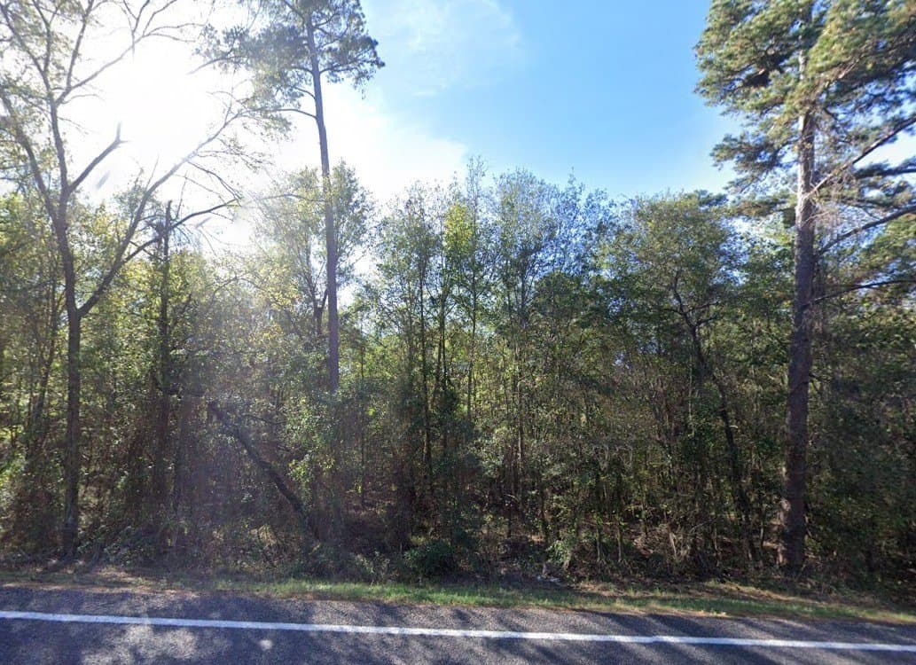 19.56 acres in Wood County - photo 2
