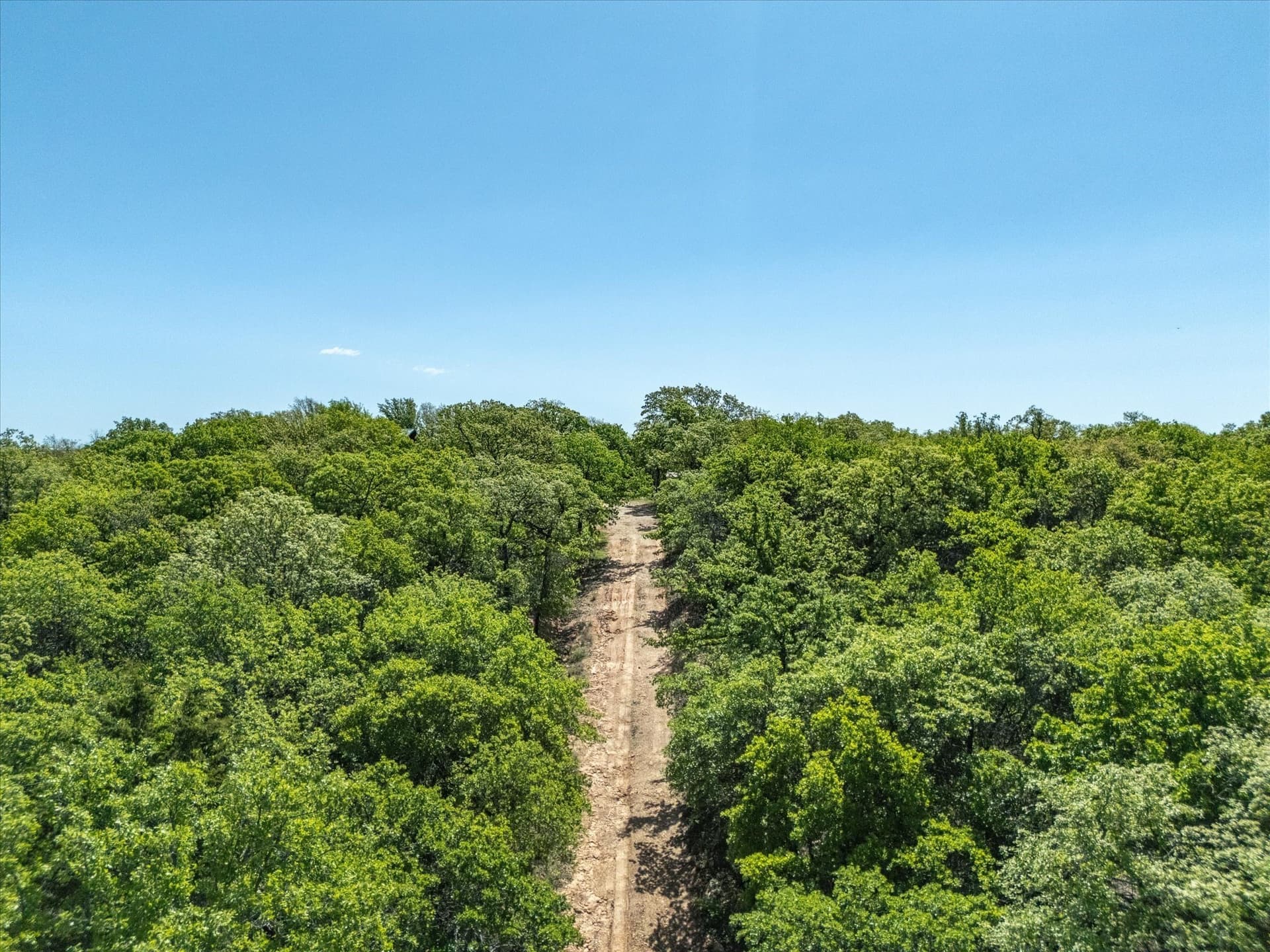 34.62 acres in Montague County featured view