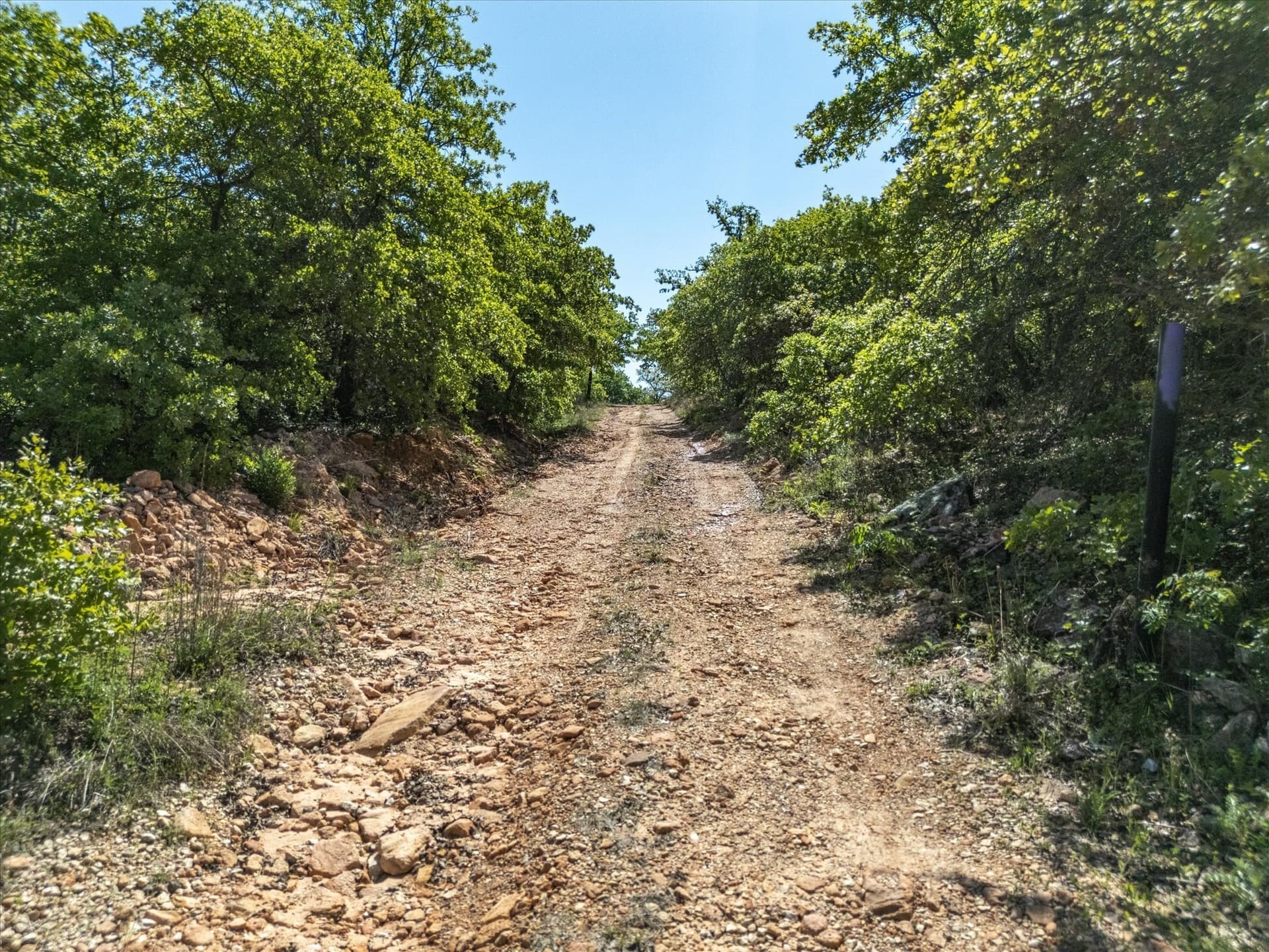 34.62 acres in Montague County gallery image 4