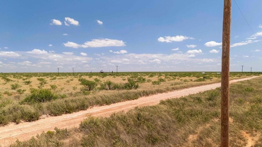10.1 acres in Gaines County - photo 13