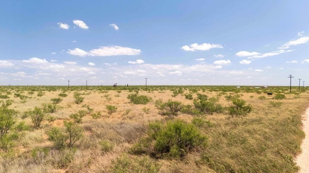 10.1 acres in Gaines County - photo 23