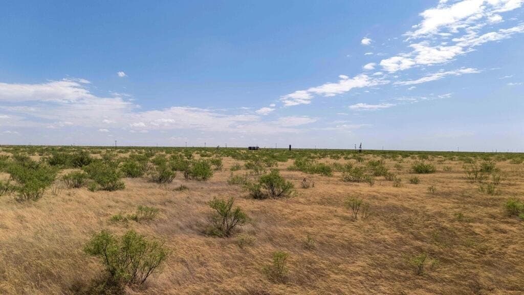 10.1 acres in Gaines County - photo 28