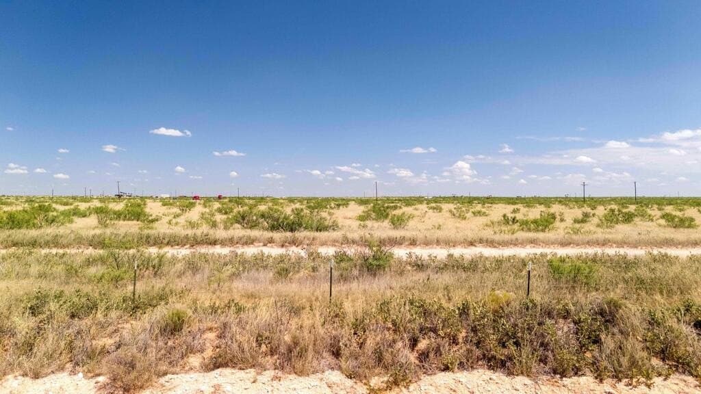 10.1 acres in Gaines County - photo 20