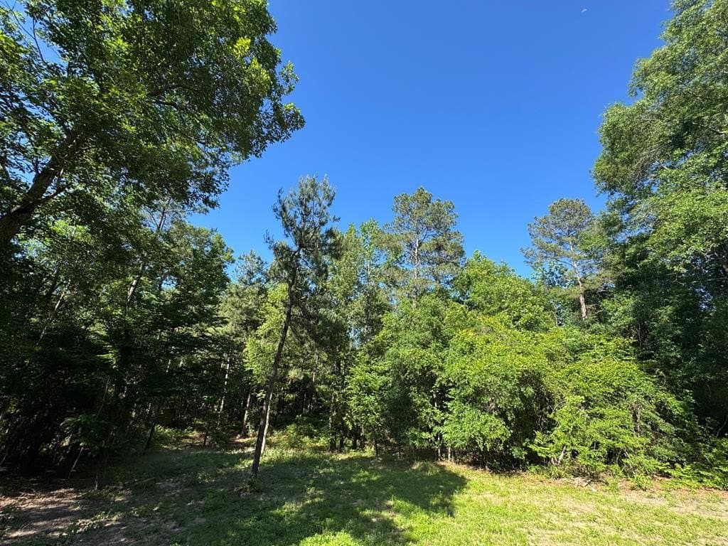 10.5 acres in Texas County - photo 16