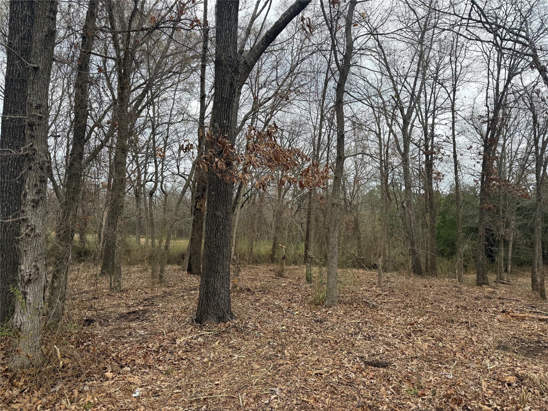 0.25 acres in Van Zandt County