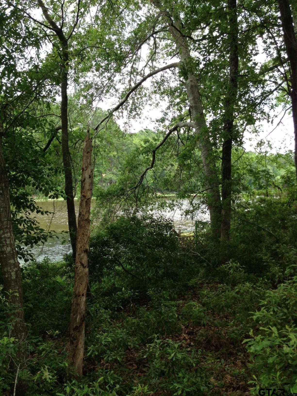 3.35 acres in Cherokee County - photo 4