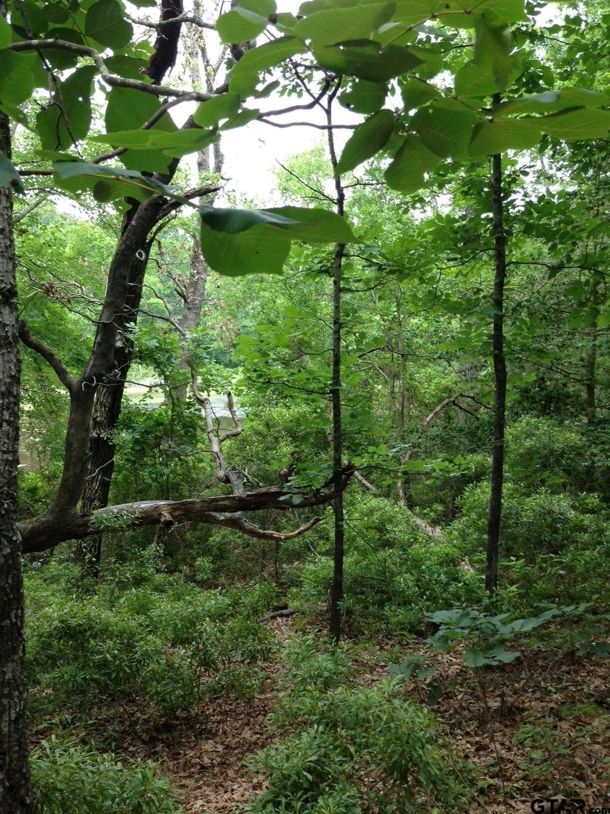 3.35 acres in Cherokee County - photo 3