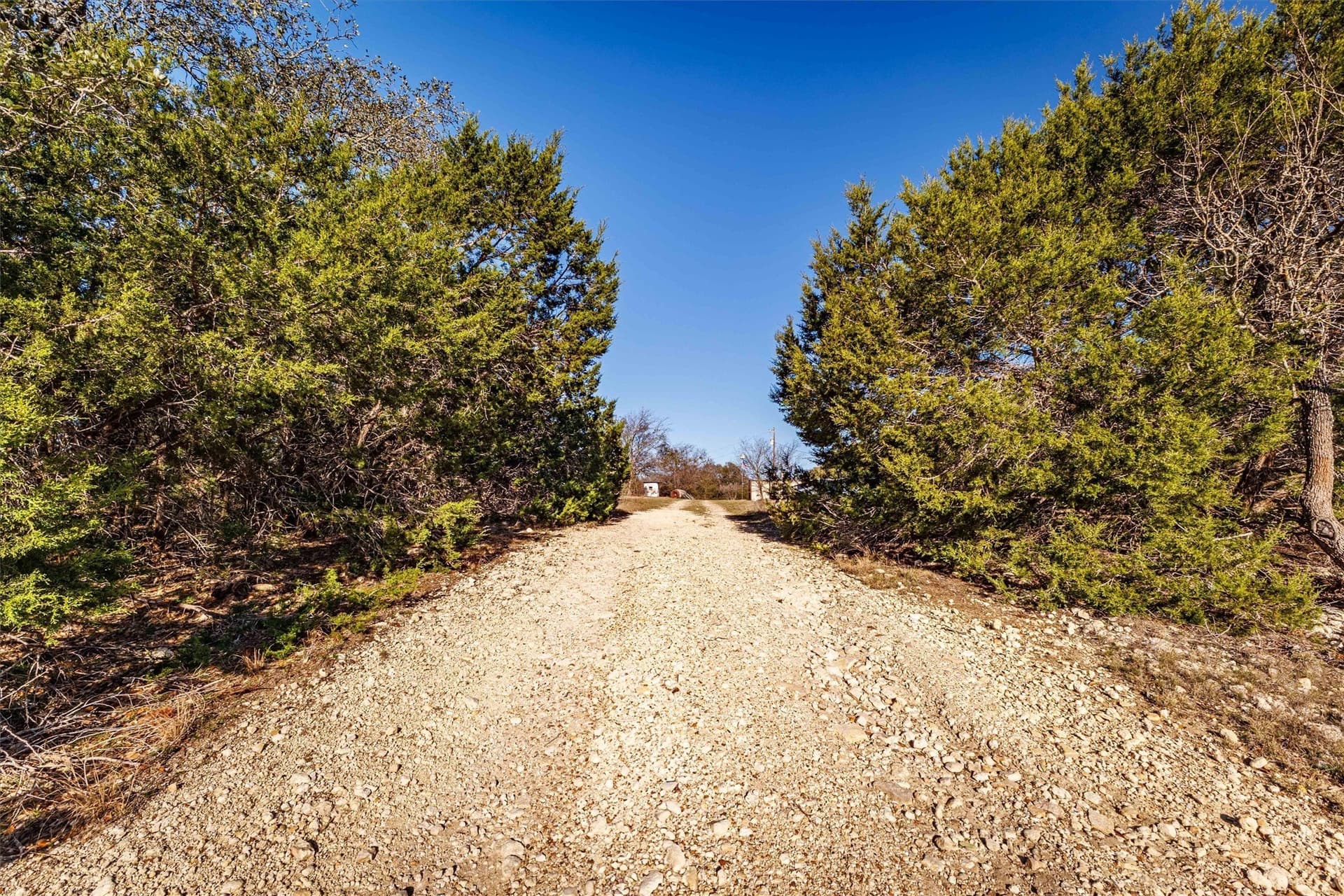 95.91 acres in Coryell County - photo 6