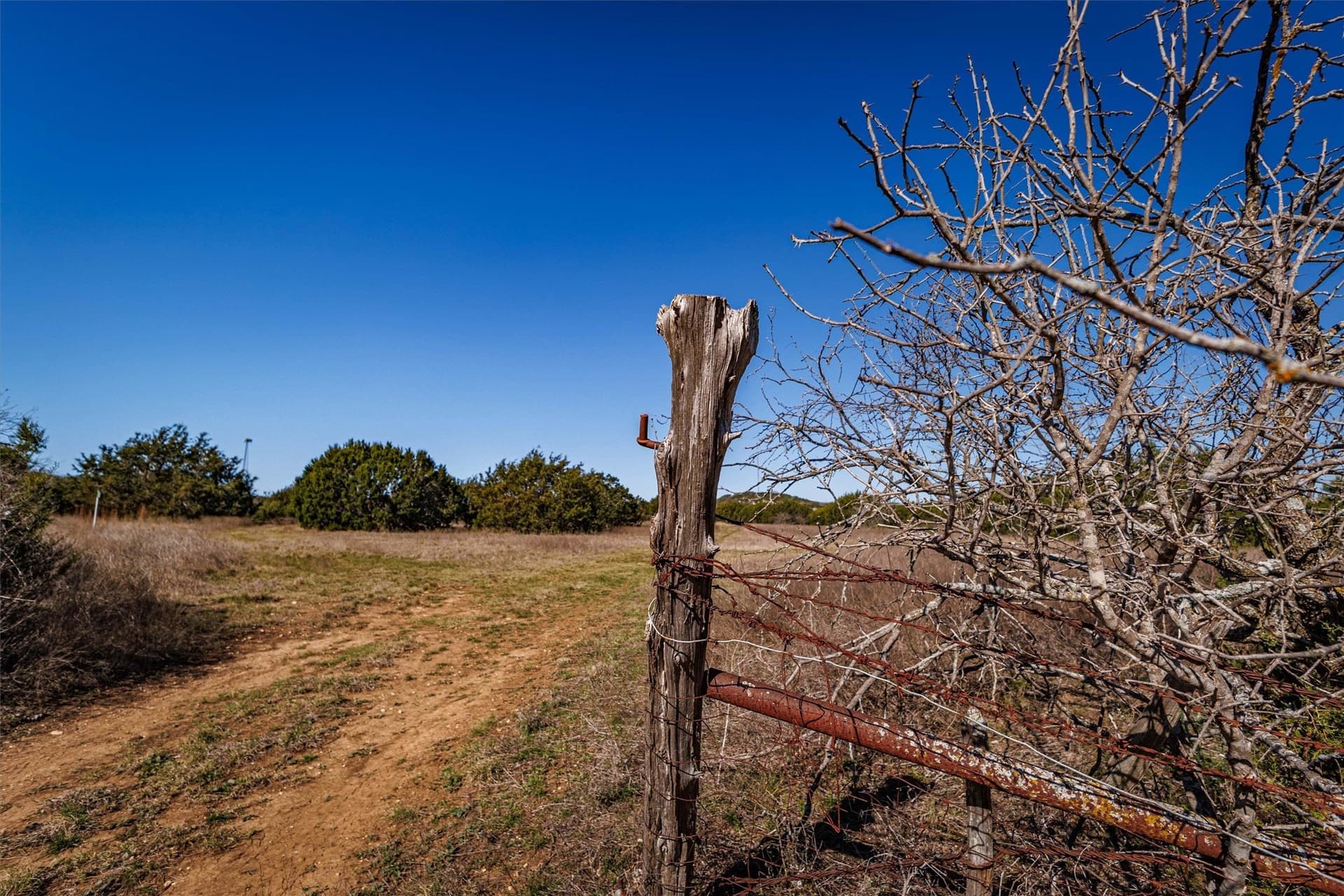 95.91 acres in Coryell County - photo 3