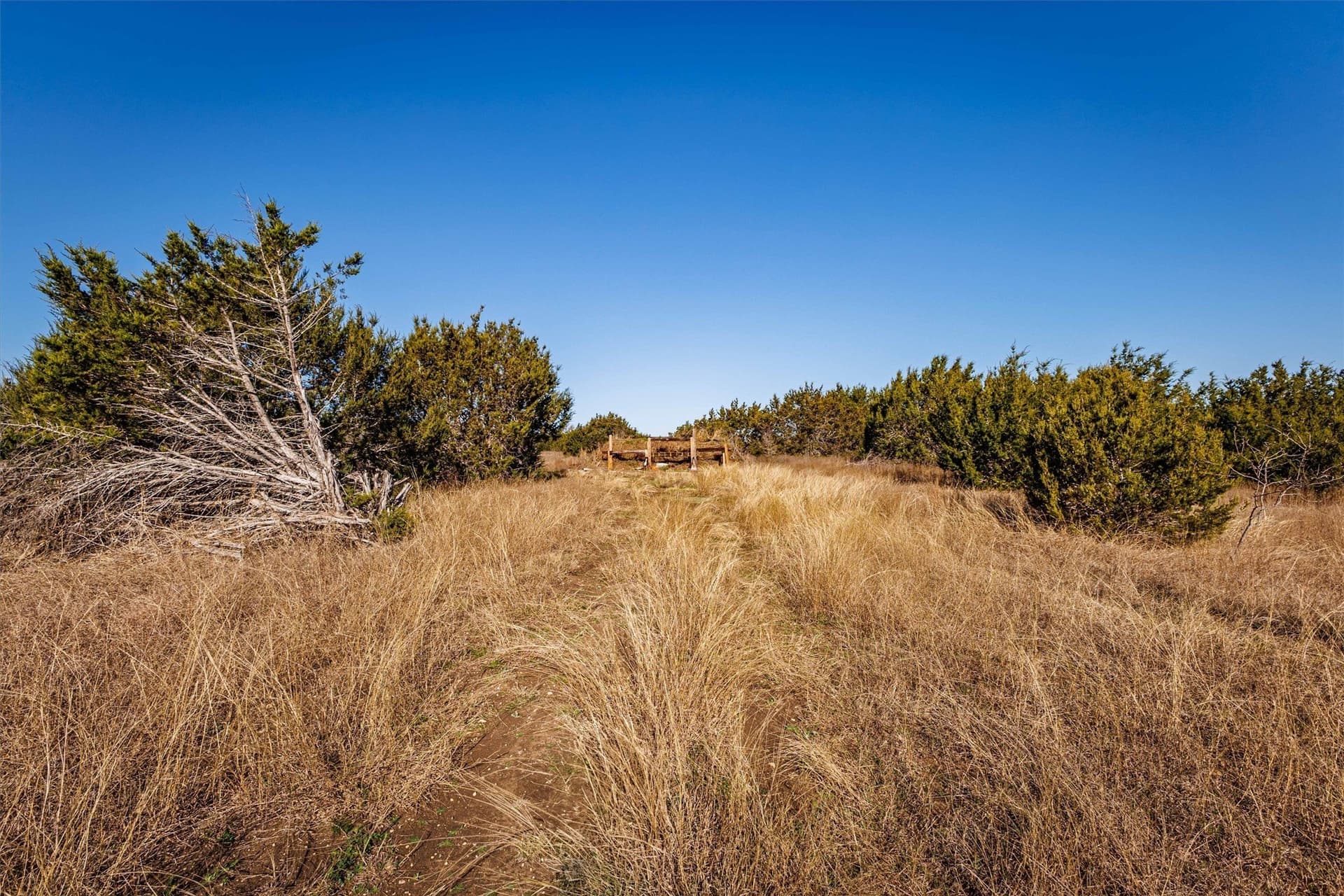 95.91 acres in Coryell County - photo 26