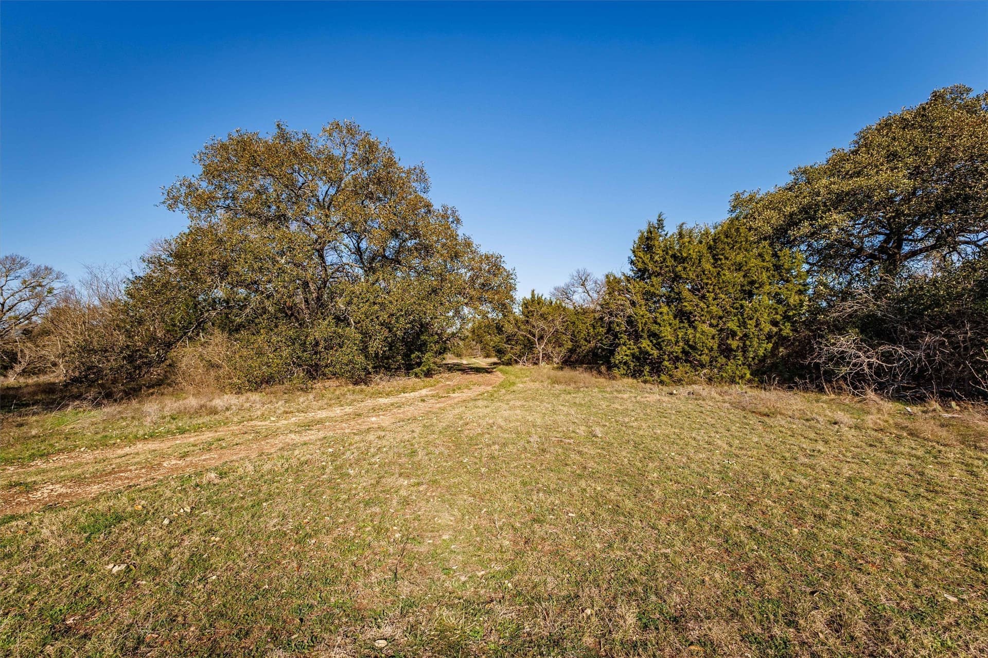 95.91 acres in Coryell County - photo 22