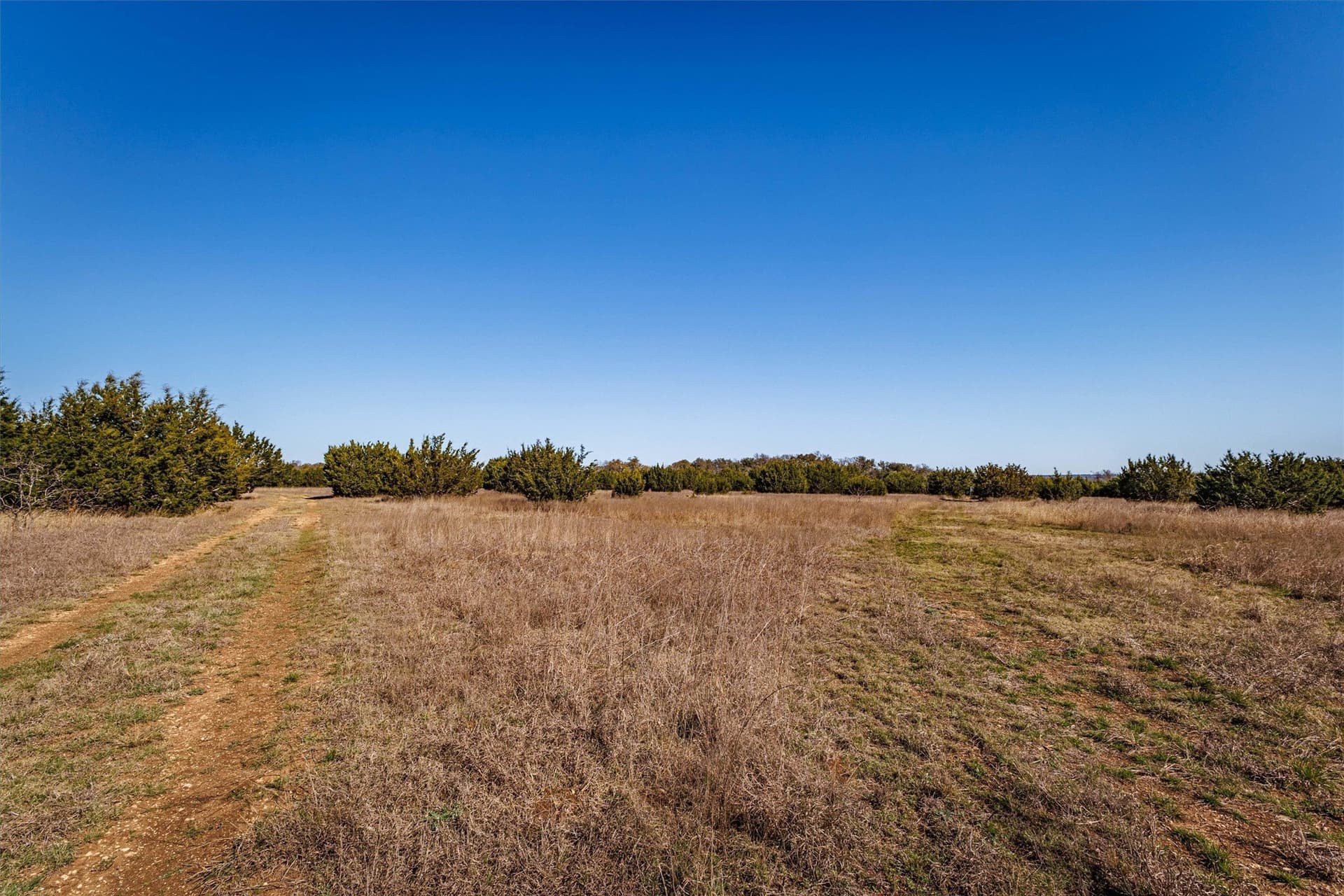 95.91 acres in Coryell County - photo 25
