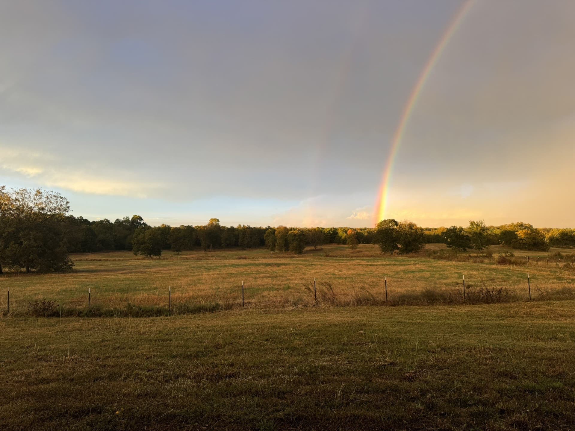 140 acres in Hunt County - photo 40