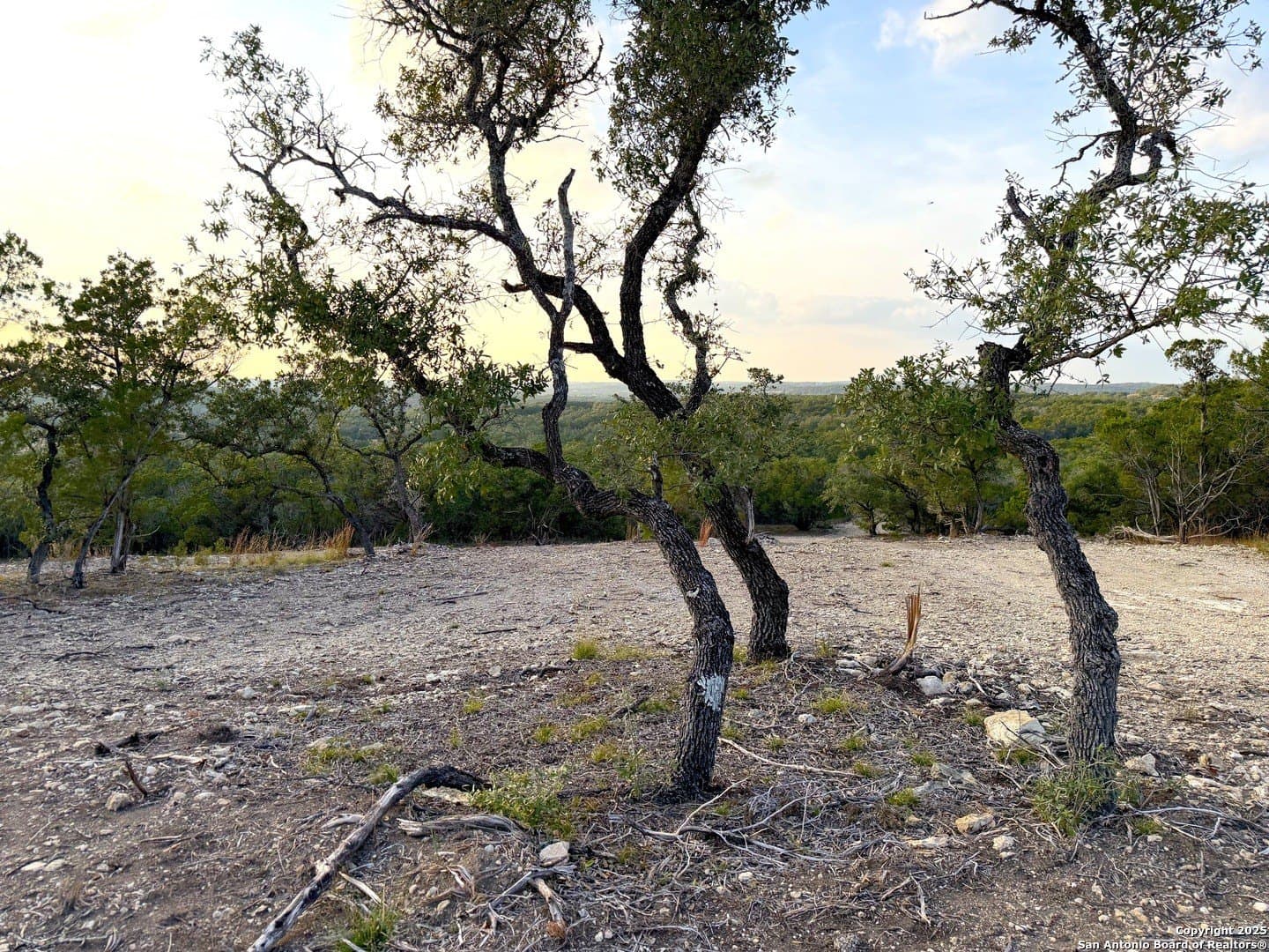 99.68 acres in Comal County - photo 10