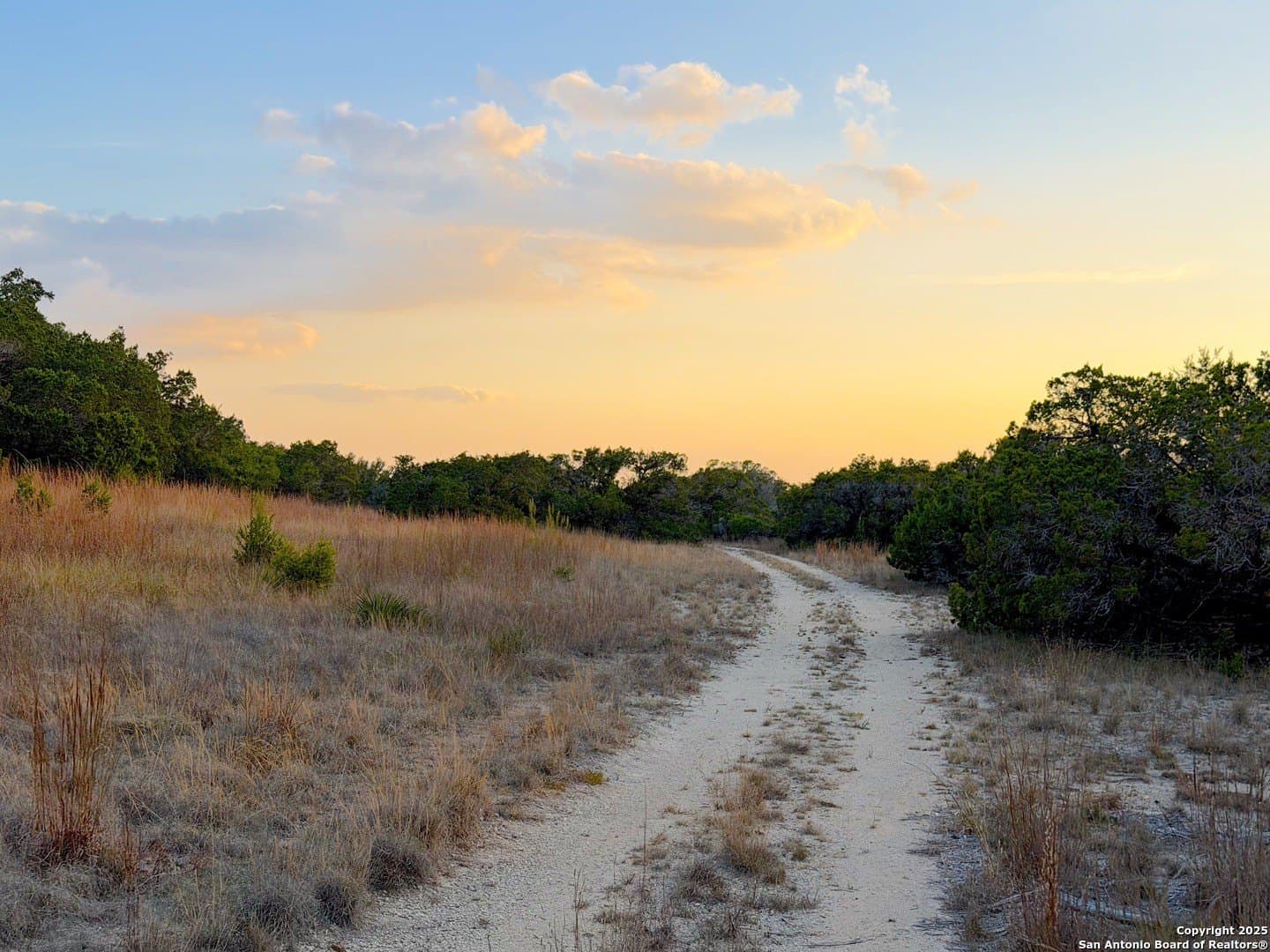 99.68 acres in Comal County - photo 14
