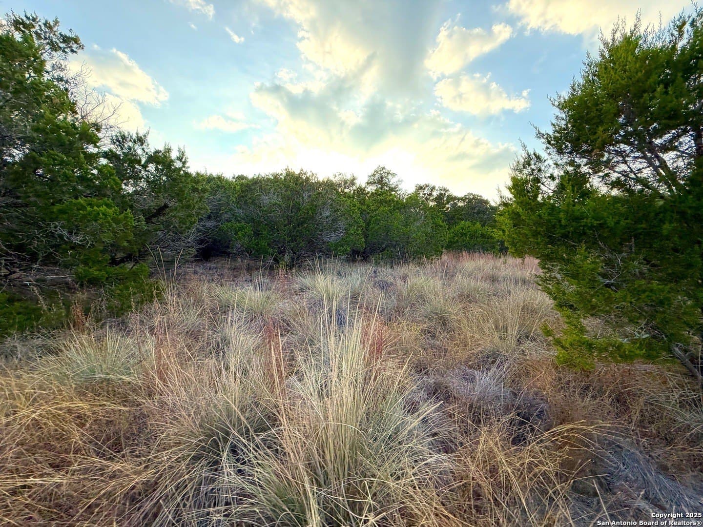 99.68 acres in Comal County - photo 17
