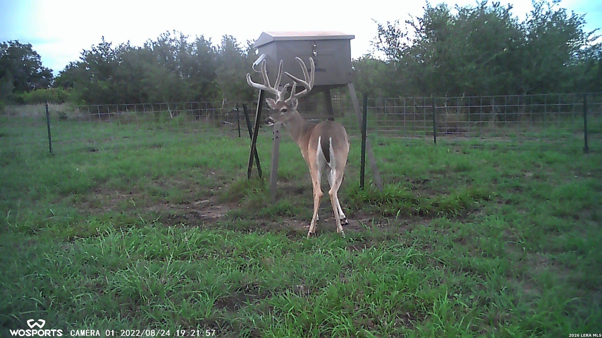 155.32 acres in Goliad County - photo 28