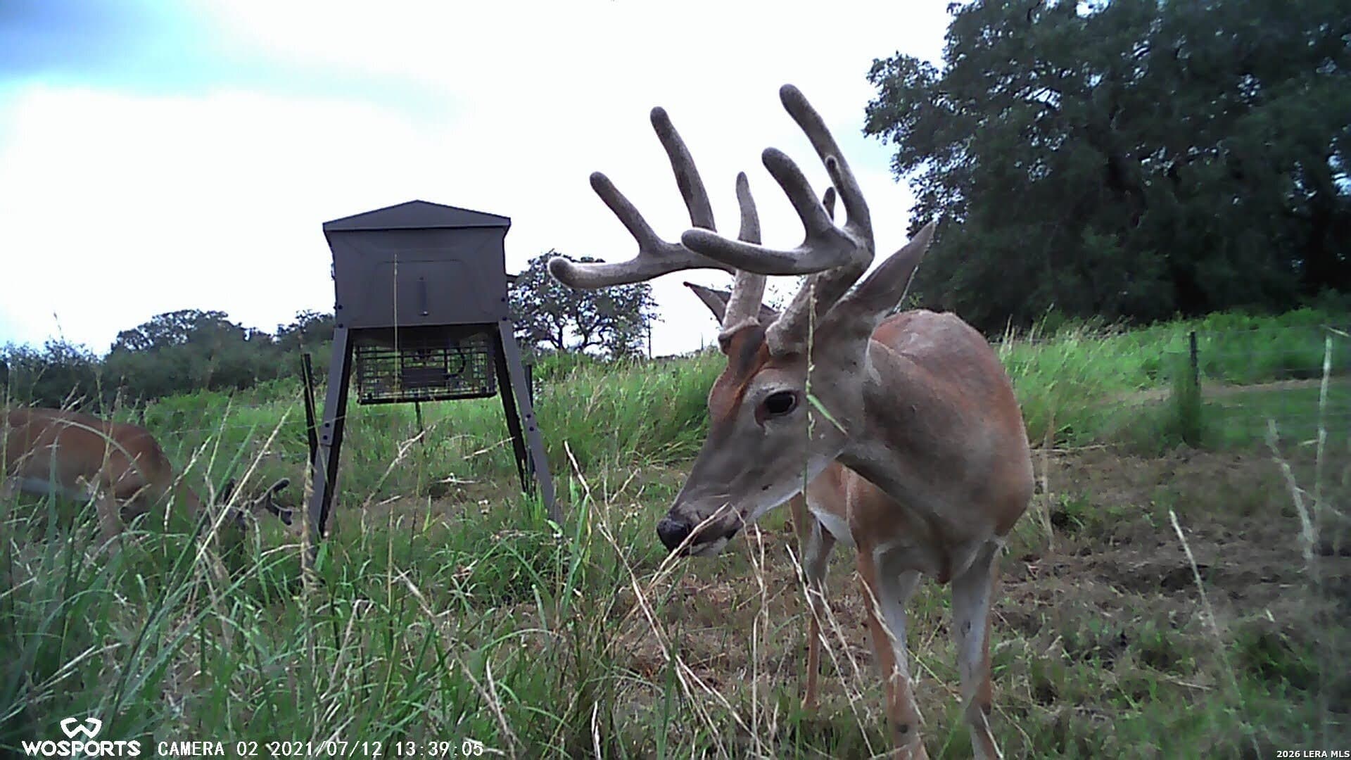 155.32 acres in Goliad County - photo 25