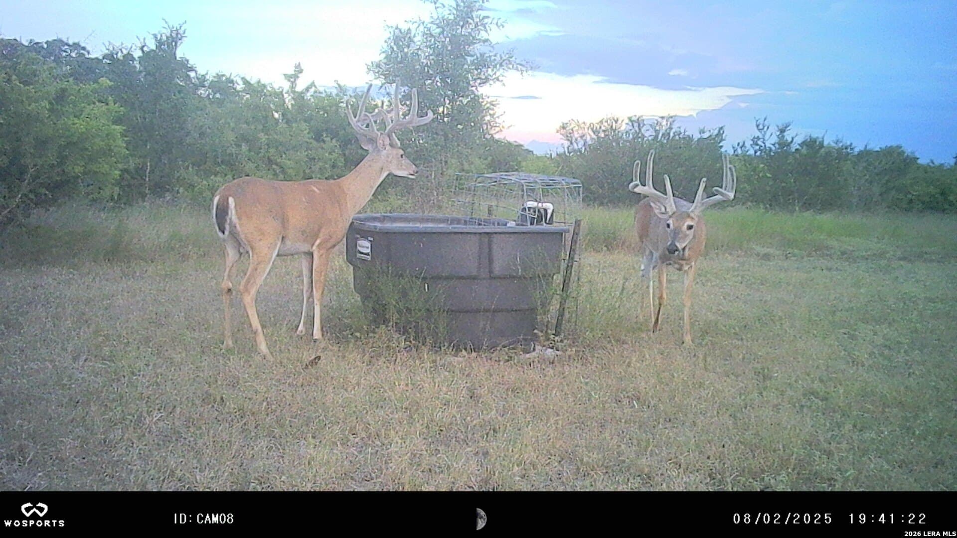 155.32 acres in Goliad County - photo 34
