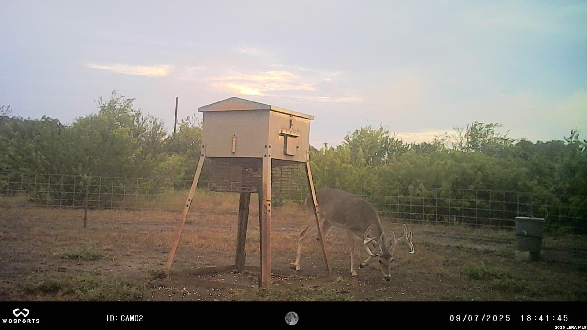 155.32 acres in Goliad County - photo 31