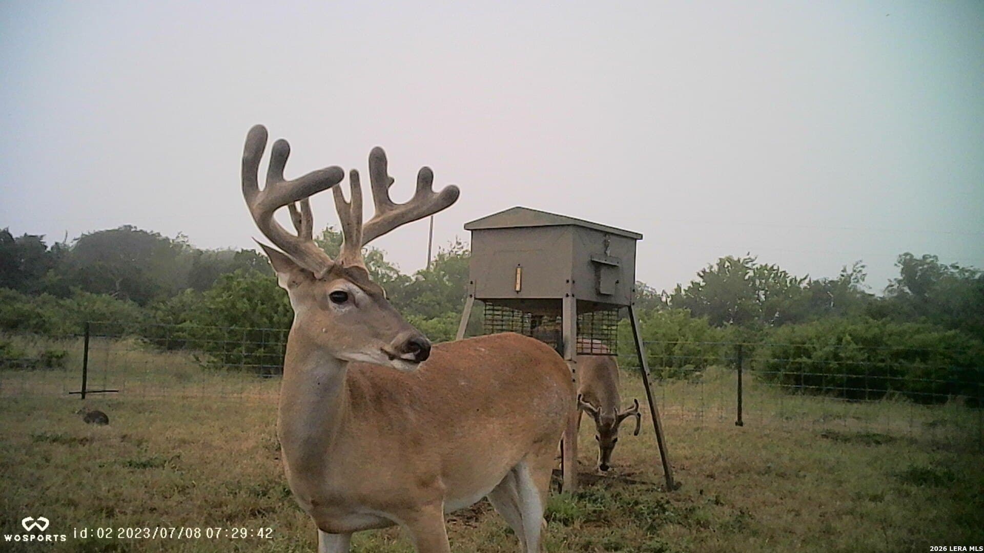 155.32 acres in Goliad County - photo 36