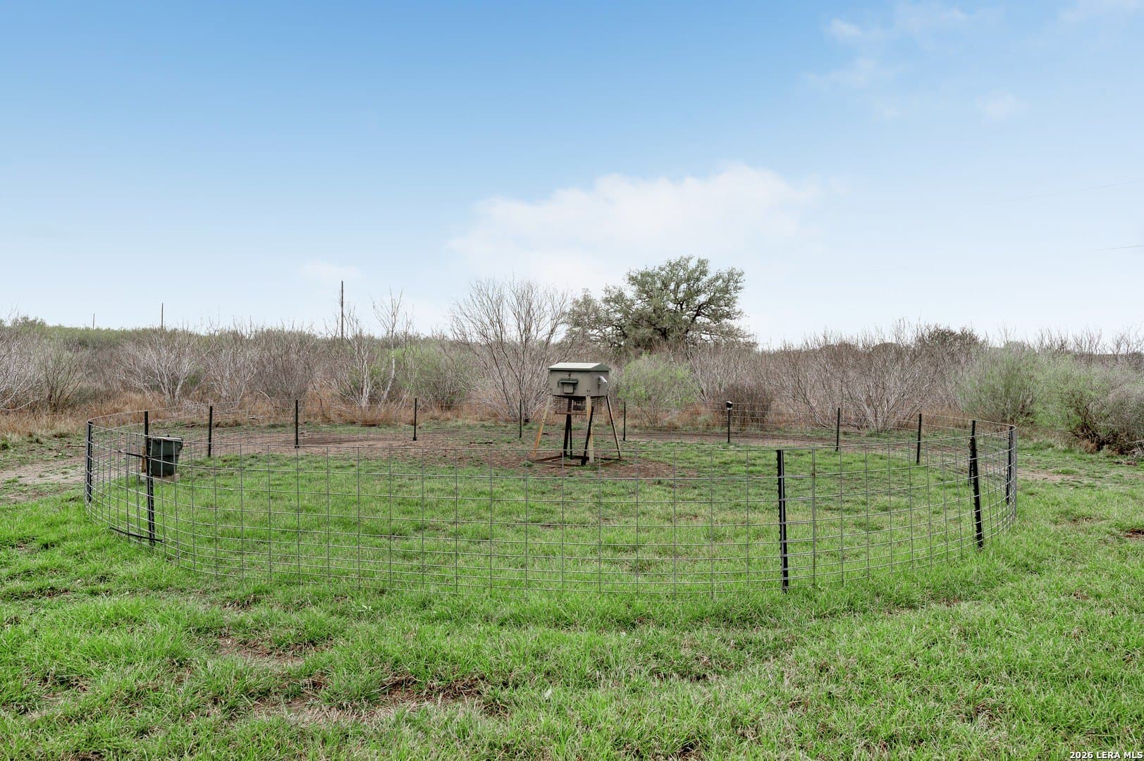 155.32 acres in Goliad County - photo 12
