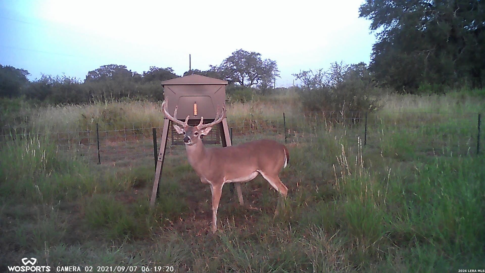 155.32 acres in Goliad County - photo 27