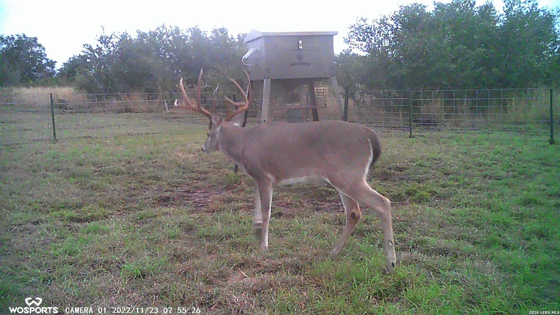155.32 acres in Goliad County - photo 22
