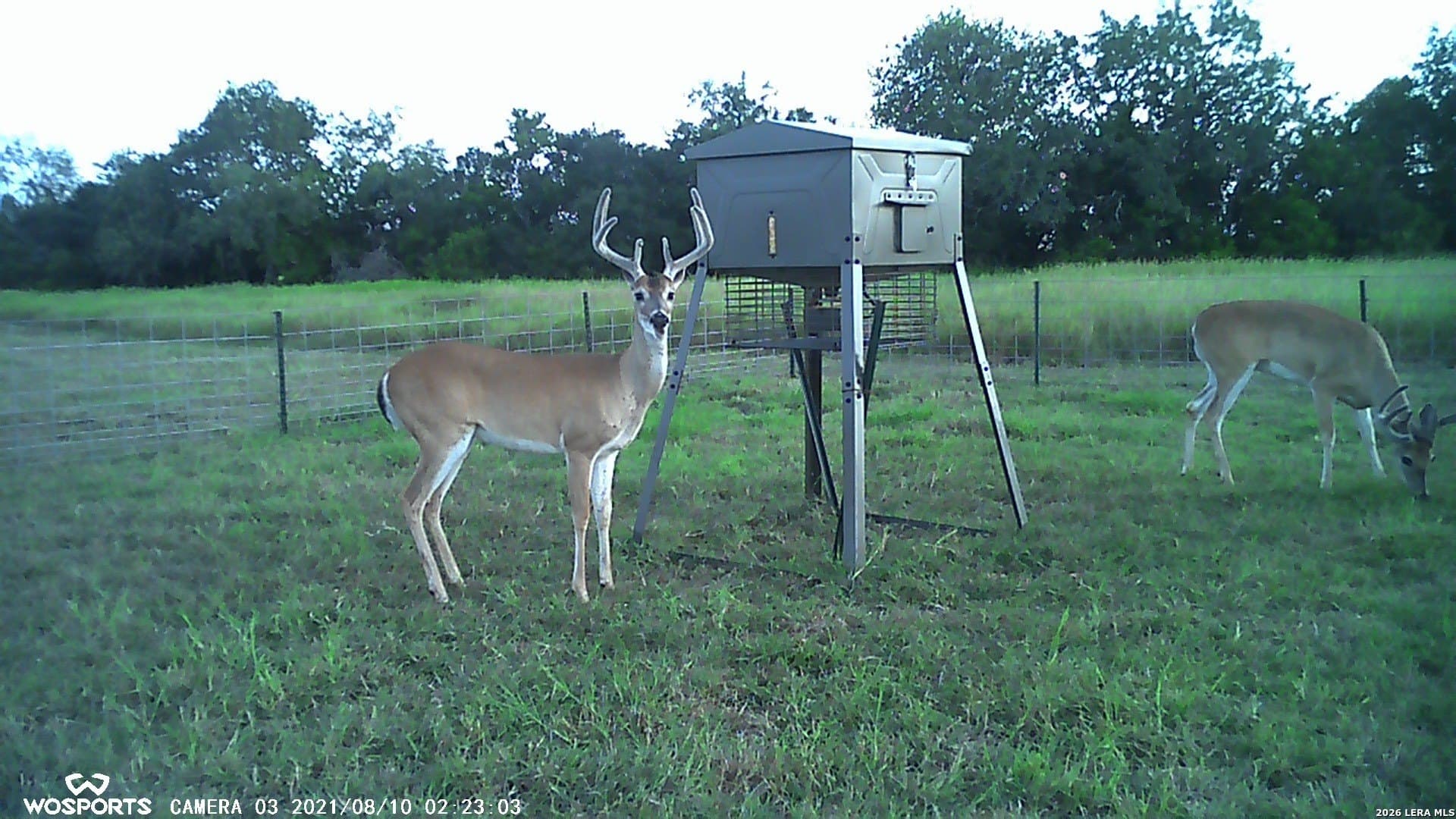 155.32 acres in Goliad County - photo 23