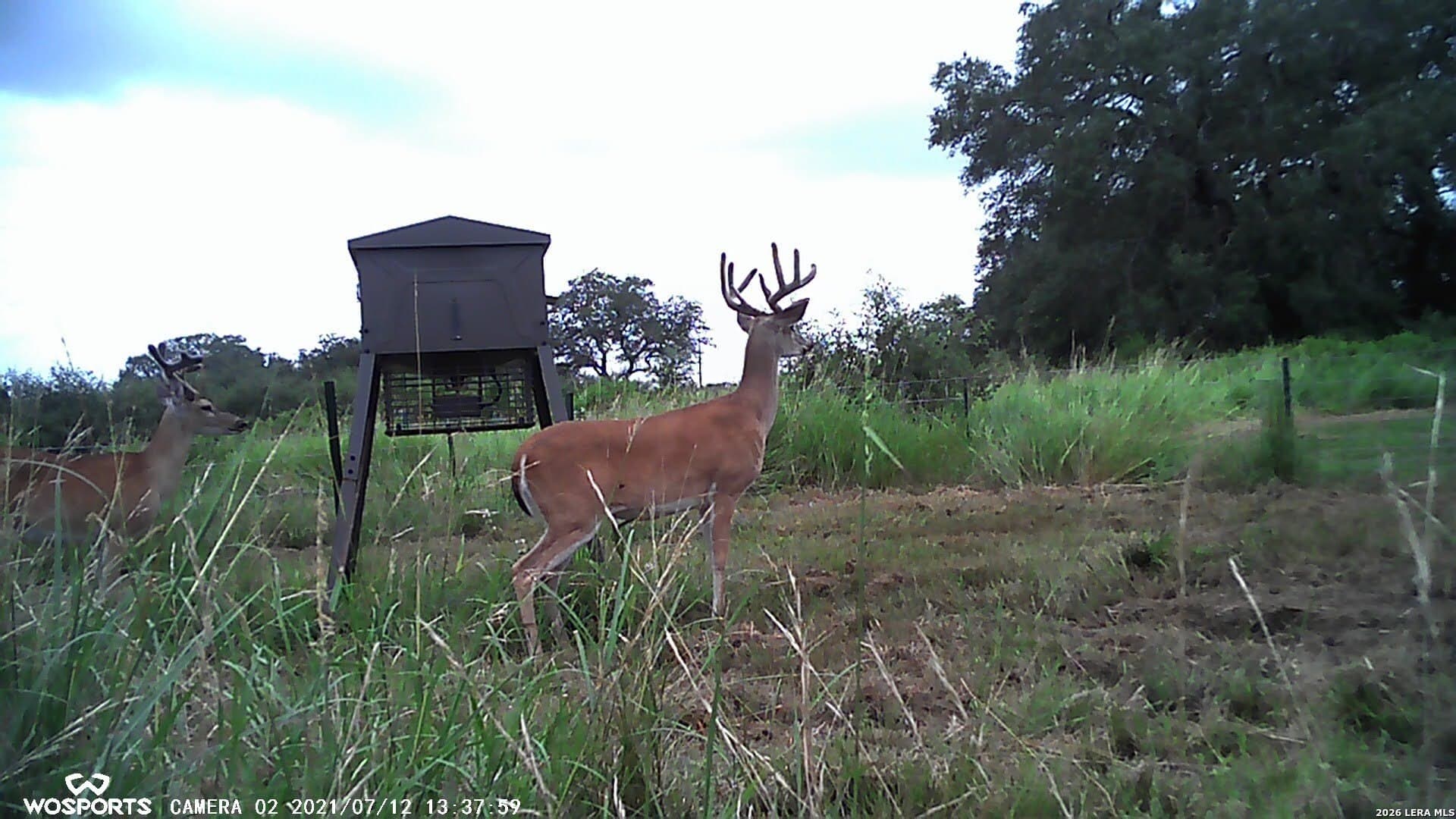 155.32 acres in Goliad County - photo 24