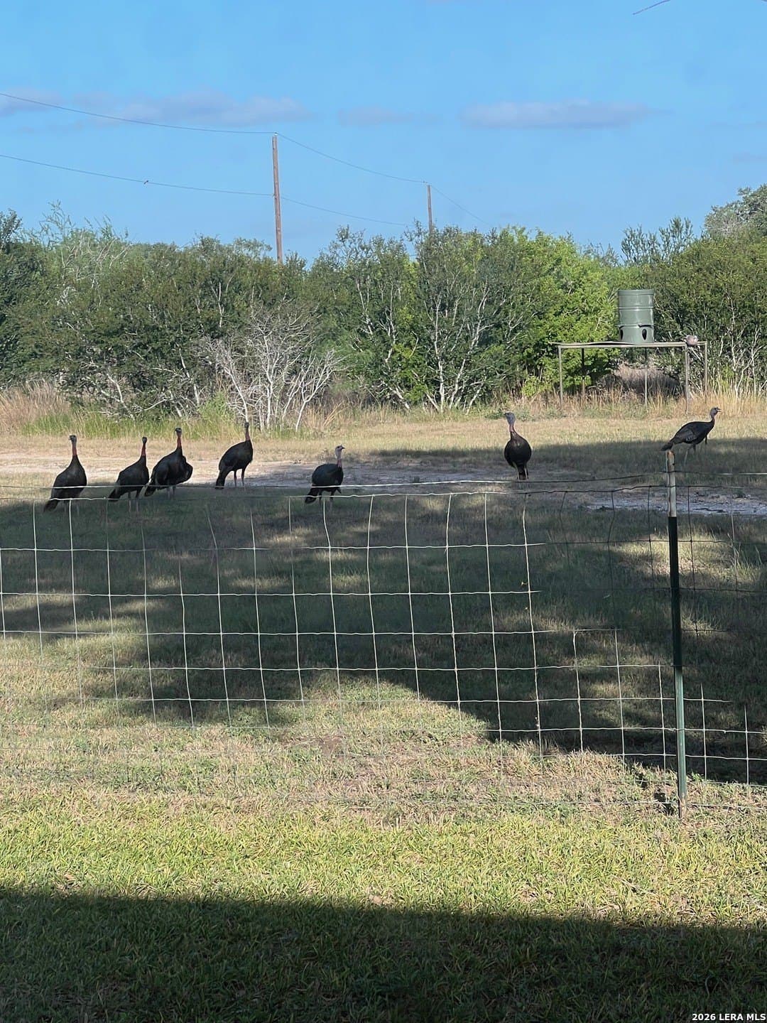 155.32 acres in Goliad County - photo 39