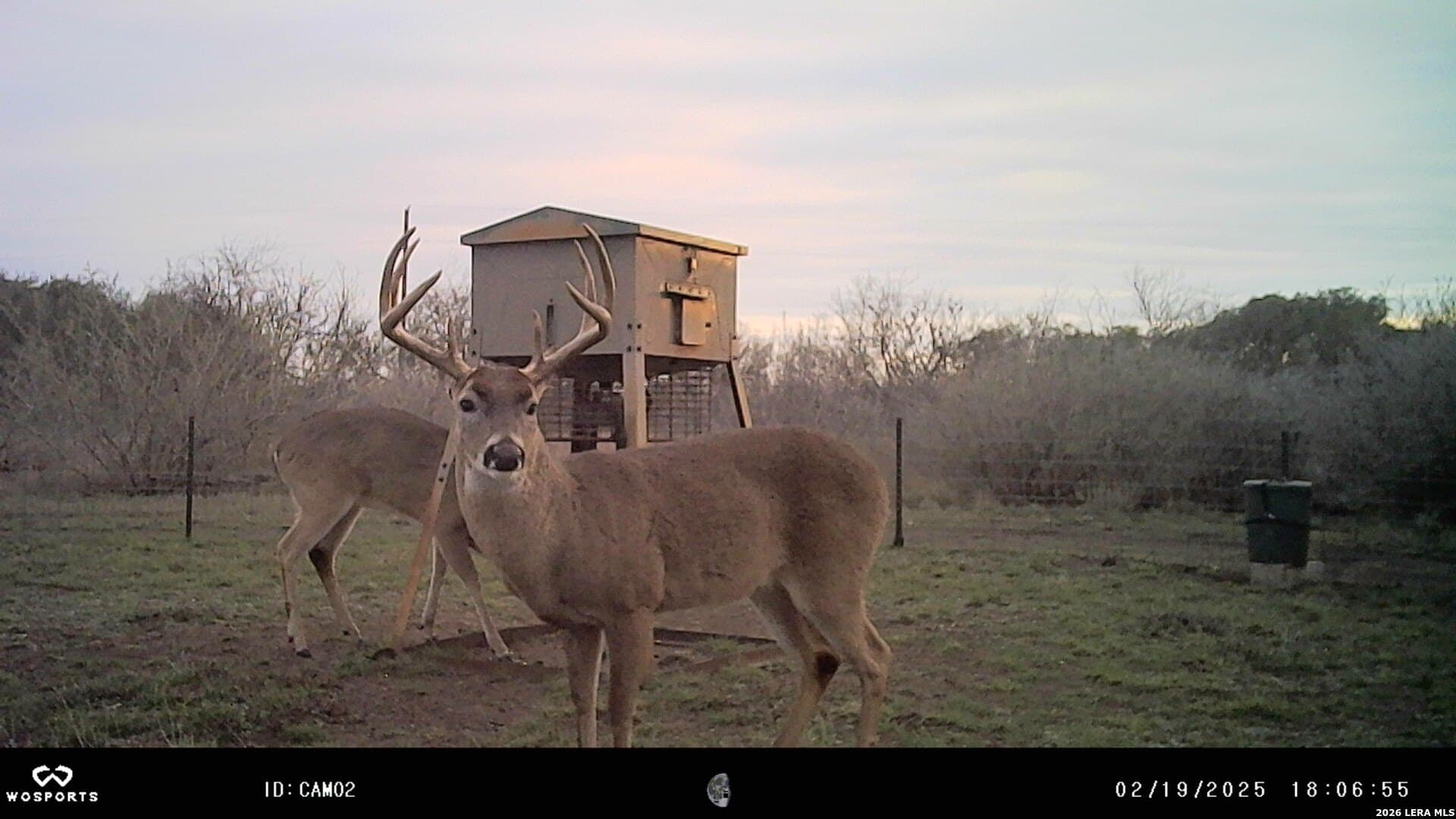 155.32 acres in Goliad County - photo 35