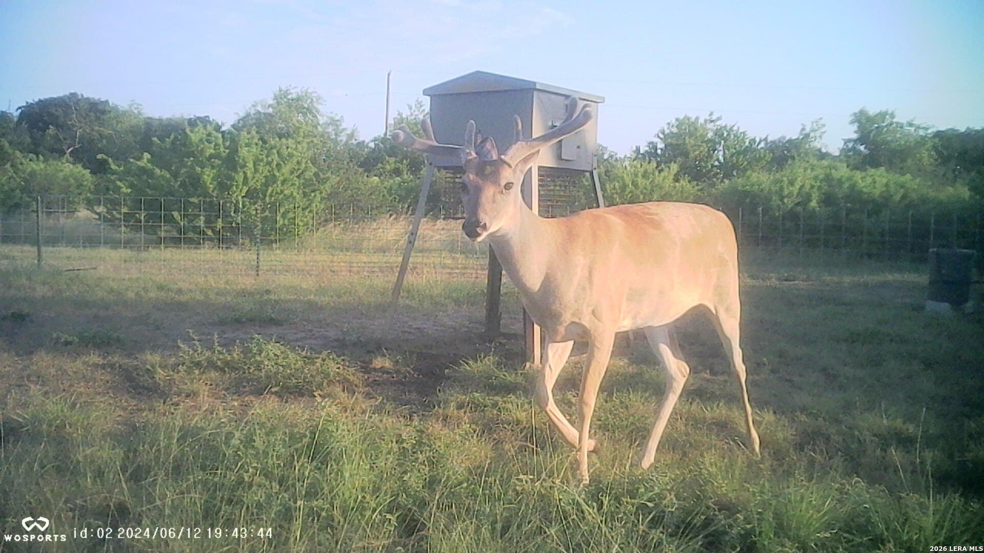 155.32 acres in Goliad County - photo 33