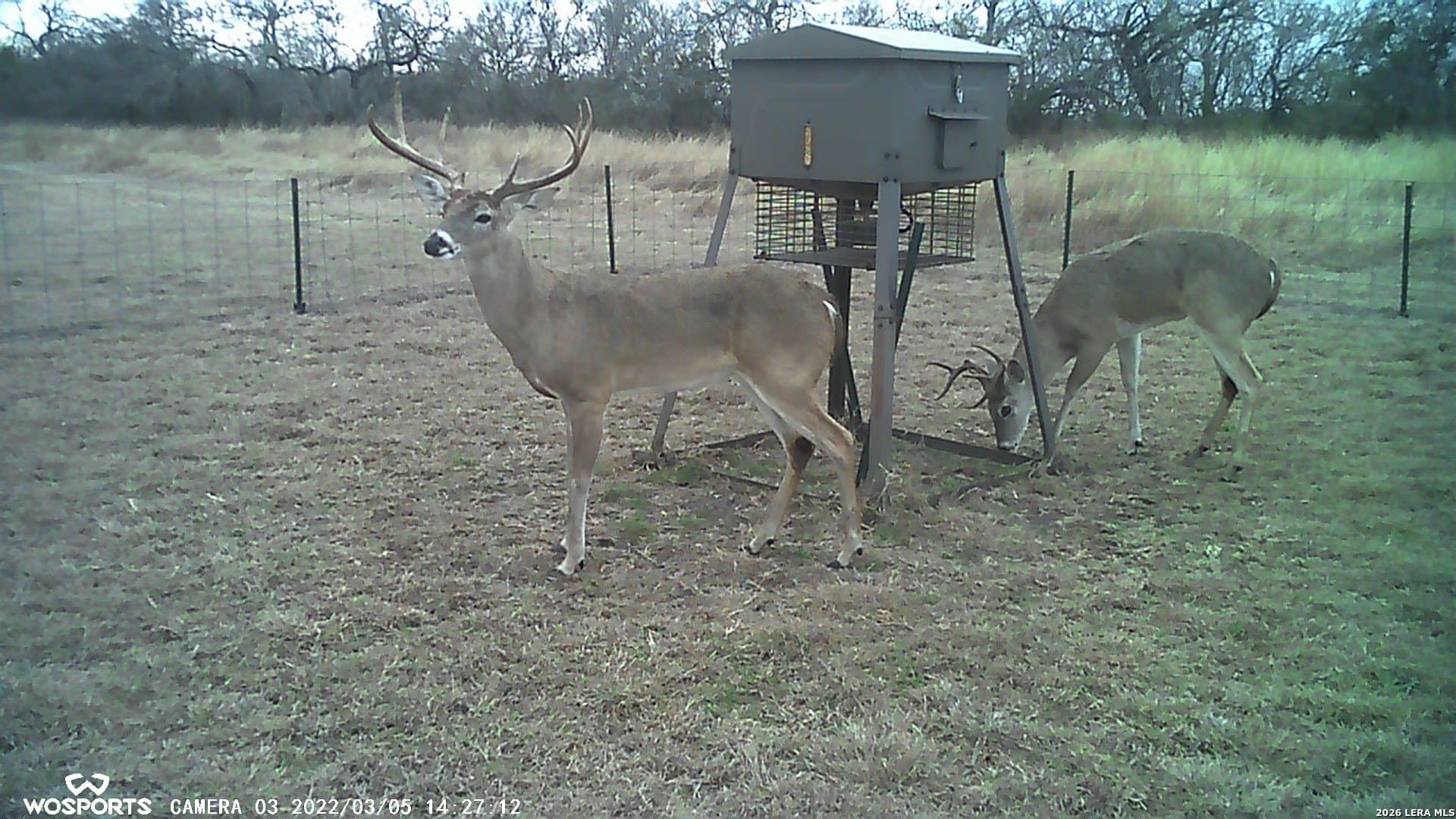 155.32 acres in Goliad County - photo 26