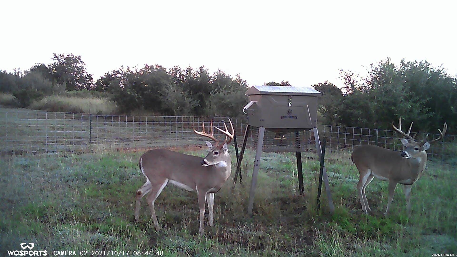 155.32 acres in Goliad County - photo 29