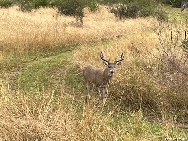 155.32 acres in Goliad County - photo 37