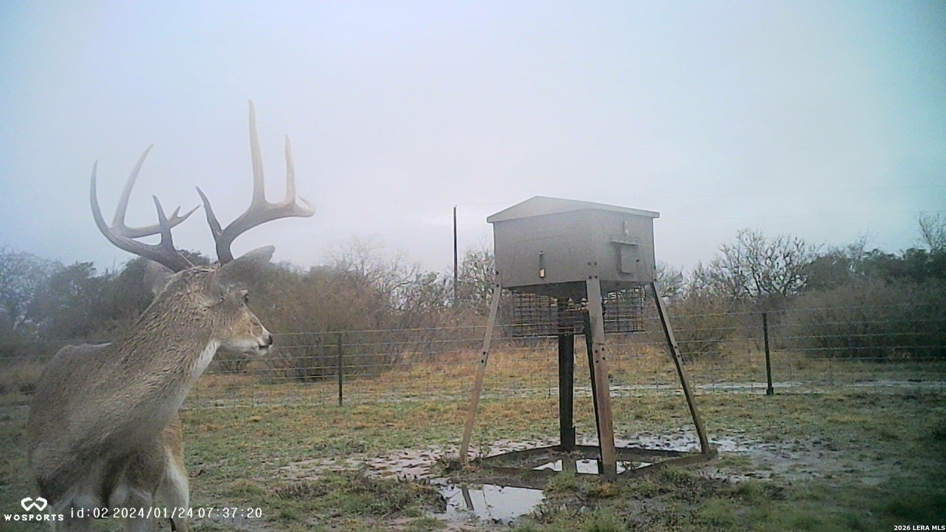 155.32 acres in Goliad County - photo 32