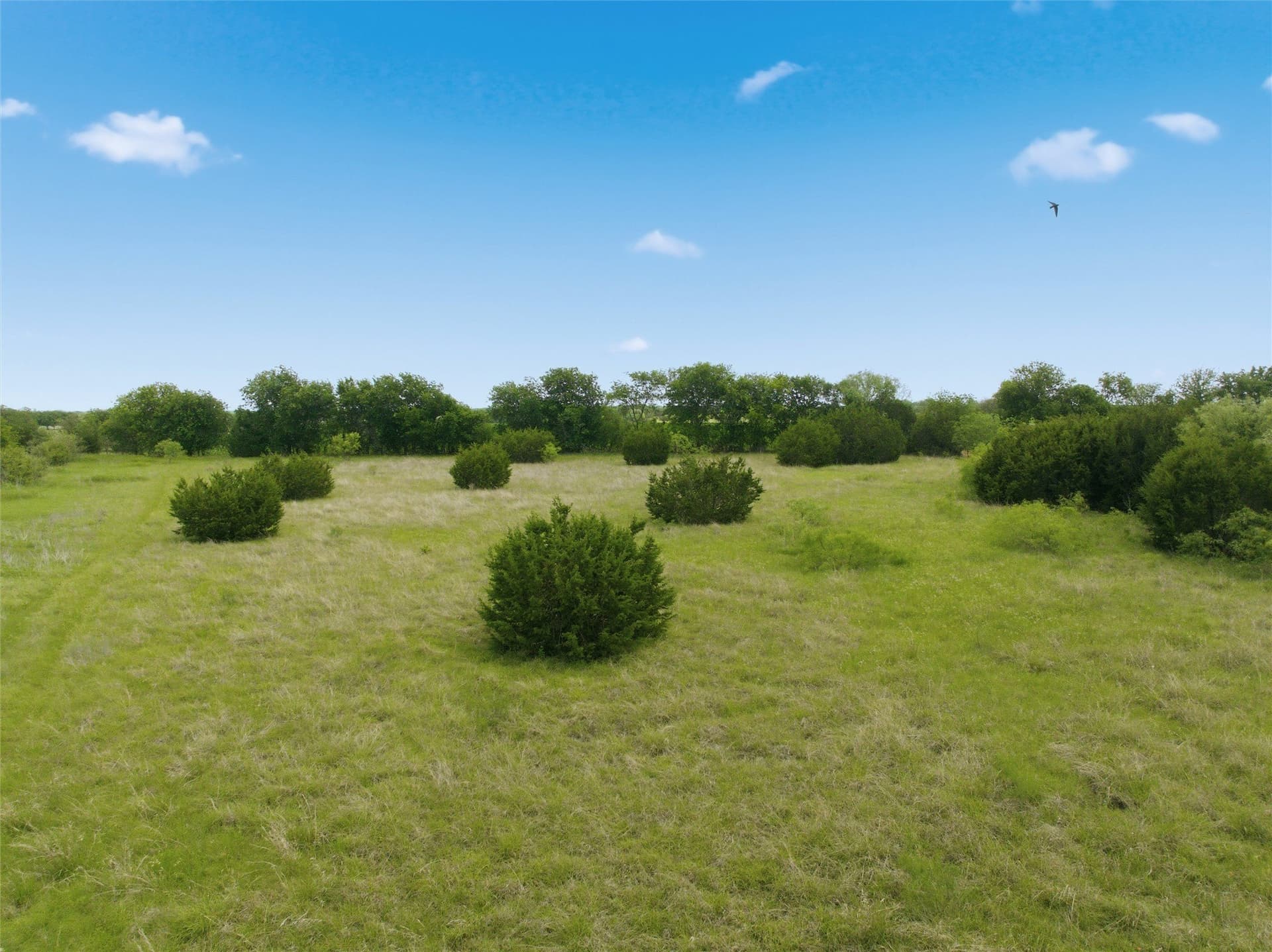 17.15 acres in McLennan County - photo 7