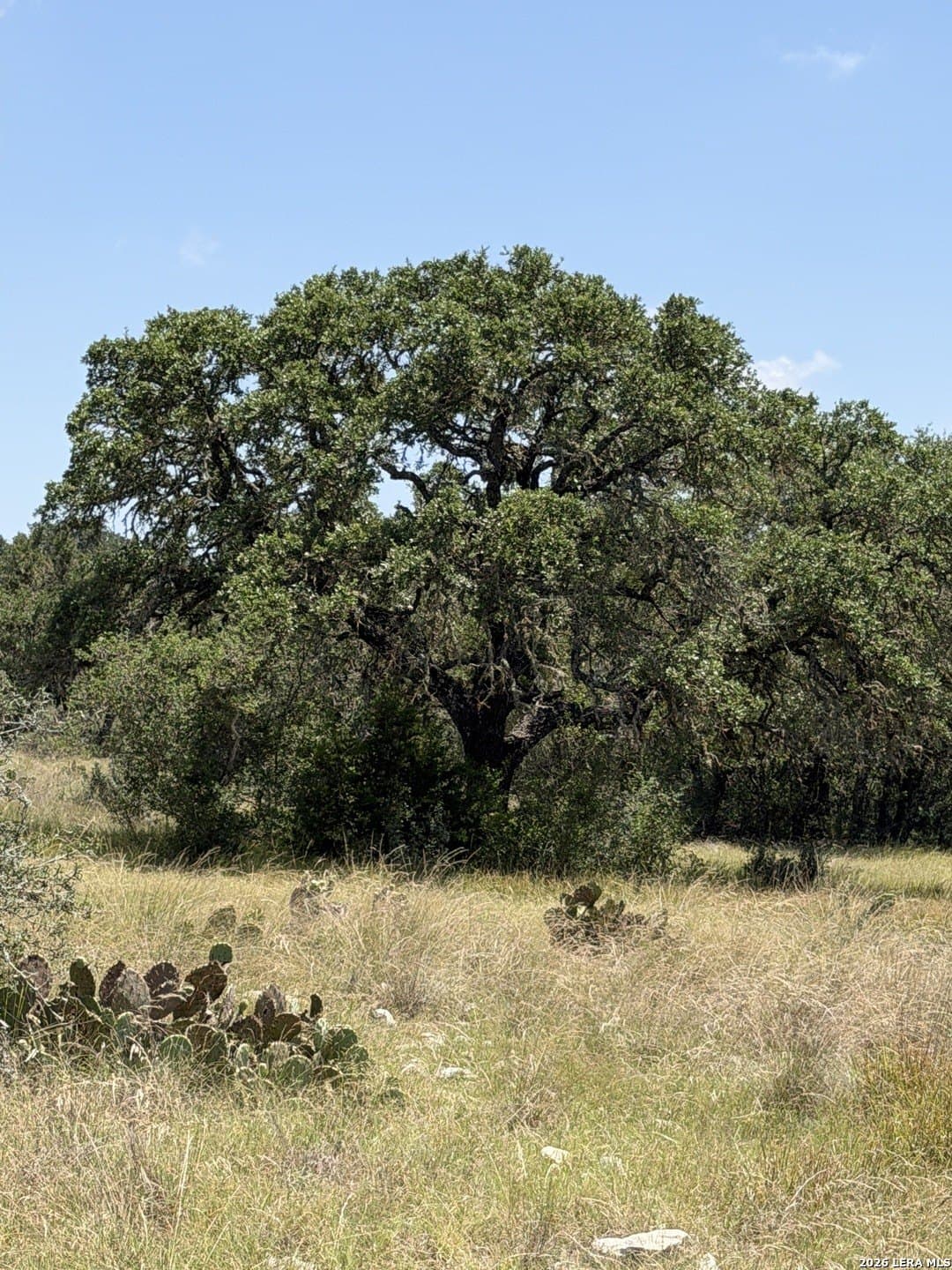 33.93 acres in Edwards County - photo 11