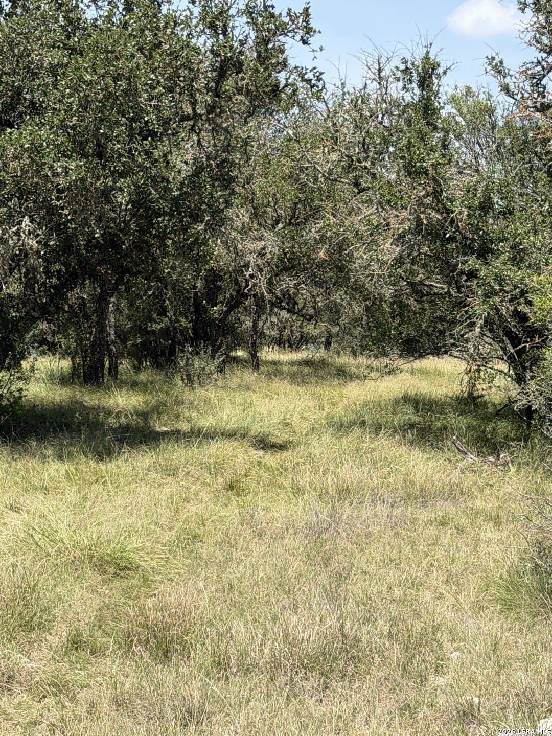 33.93 acres in Edwards County - photo 10